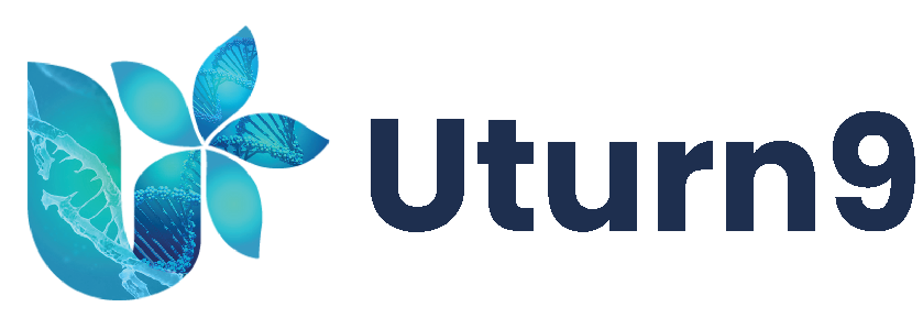 Uturn9 Logo